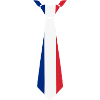 France Tie – Flag Design