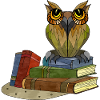 Owl bird