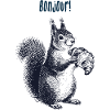 Bonjour Croissant Squirrel