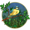 Bunter Vogel