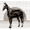 Cheval