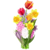 Colourful spring bouquet with tulips & daffodils