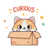Chat Curieux en Boîte - Illustration Douce