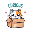 Curious Cat in its Box
