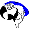 Parrot