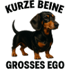 Short Legs, Big Ego Dachshund
