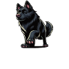 Talk to the paw Black Shepherd