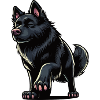 Schwarzer Schäferhund Schäferhundbesitzer 