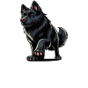 Talk to the Paw Black Shepherd