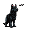 No Black Shepherd Shepherd Owner