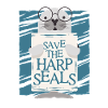 Sattelrobbe Robben Save The Harp Seals