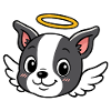 Boston - Angel