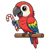 Cheerful parrot with candy cane