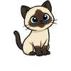 Chat Coquin et Mignon