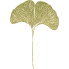 Gingko Leaf