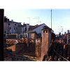 Rooftops of Venice