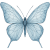 Blue Geometric Butterfly