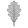 Monochromes Eichenblatt-Design