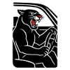 Panther Auto