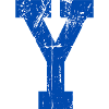 Letter y retro sport