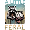 Funny Opossum and Raccoon