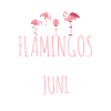 June Birthday Flamingo Saying Funny