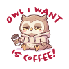 Coffee Love Owl Pullover Hoodie