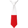 Poland Tie – Flag Design