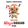 Ninja Brotmann