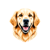 Life is Gold: Golden Retriever