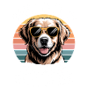 Golden Retriever Sunglasses