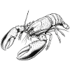 Lobster
