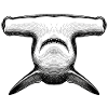 Hammerhead
