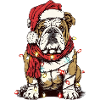 Bulldog Christmas with fairy lights