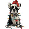 French Bulldog Christmas