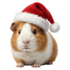 Cute guinea pig Christmas hat