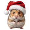 Doux Hamster - Doux Noël