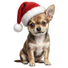 Chihuahua puppy with Christmas hat