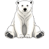 Papa Bear
