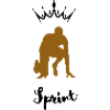 Sprint Silhouette