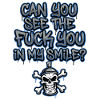 Graffiti Skull Saying Provocative