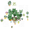 Garden & Plant Lovers Gifts