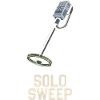 Introverted metal detector hobbyist