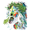 Jesus Rastafari Farbexplosion