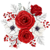 Rot-weißer Blumenstrauß