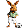 Hase Fussball