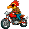 Motorcyclist Chicken