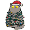 Clumsy Cat Christmas