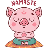 Cochon Zen Namaste