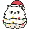 Cuddly kitten with fairy lights